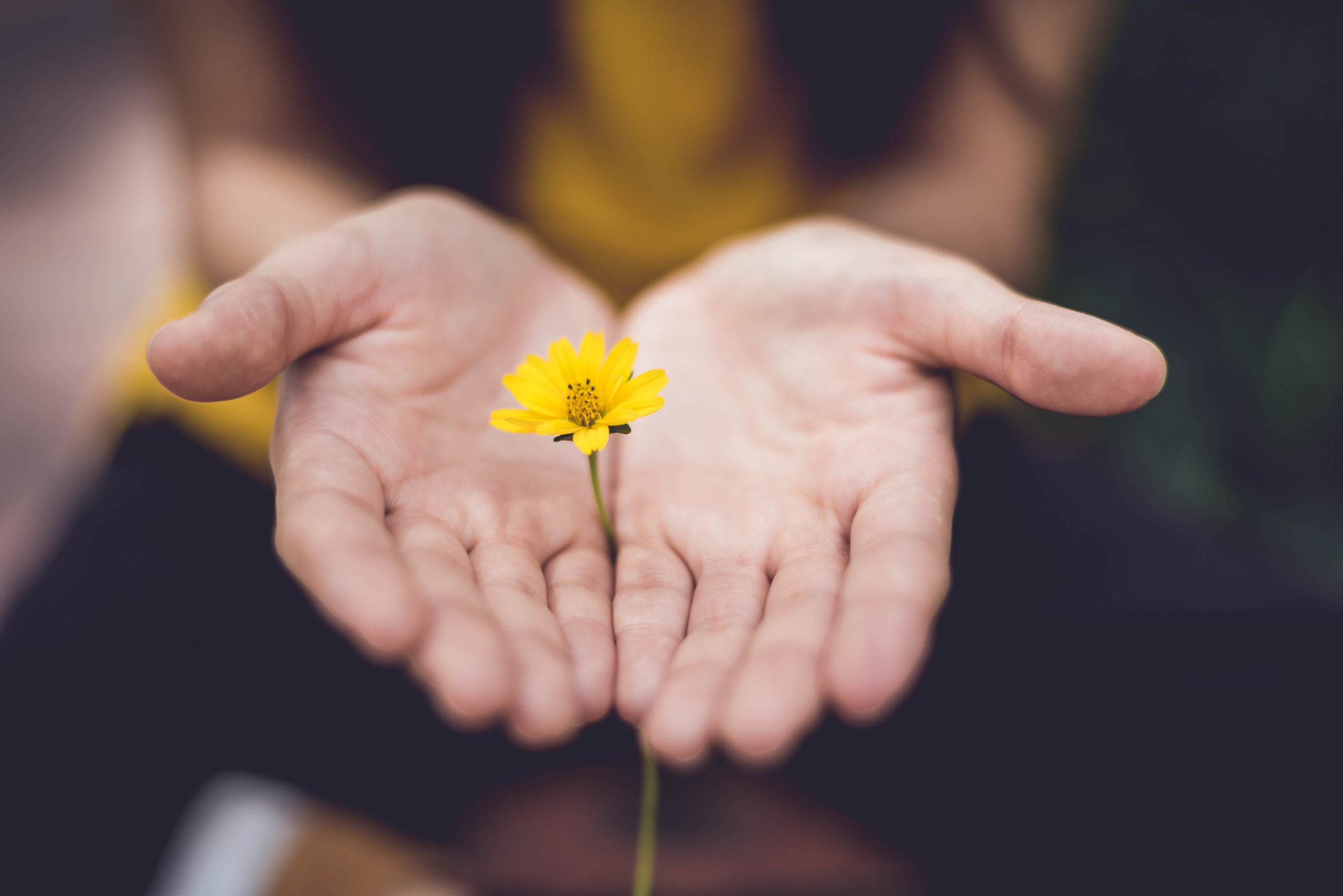 unsplash lina-trochez-ktPKyUs3Qjs